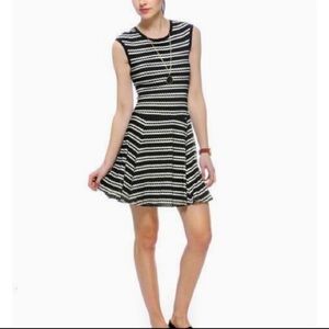 EIGHT SIXTY Eyelet Skater Black & White Midi Dress